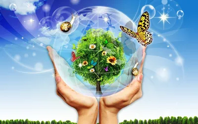 Экология Земли