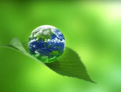 Экология земли детализированно» — создано в Шедевруме