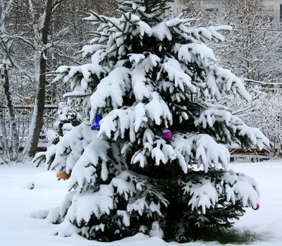 Ель Мольвено в снегу с вплетенной гирляндой 230 см недорогая пушистая елка  из комбинированных материалов