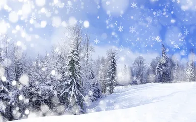 Обои Природа Зима, обои для рабочего стола, фотографии природа, зима,  пейзаж, деревья, снежинки, боке, ели, ёлки, елки, снег, фон Обои для  рабочего стола, скачать обои картинки заставки на рабочий стол.