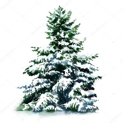Декоративная новогодняя ветка елки в снегу 47 см (ID#1896417223), цена: 140  ₴, купить на Prom.ua