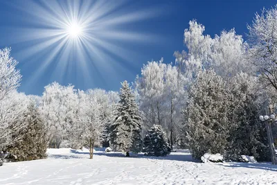 Мультяшная елка в снегу - 62 фото