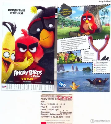 Существуют ли птицы из Angry Birds. Фотограф показал их на снимке