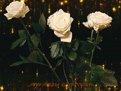 С Днём Рождения ! Эти Розы для Тебя...Красивое поздравление  женщине.Музыкальная открытка.Зажигательная песня. | Мама прекрасной  Доченьки! | Дзен