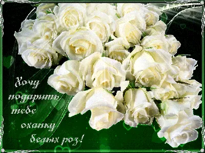 Эти розы для тебя,от души дарю любя!*** ~ Открытка (плейкаст)