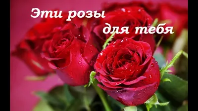 Фото Эти розы для тебя