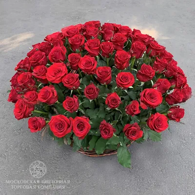 С Днём Рождения ! Эти Розы для Тебя...Красивое поздравление  женщине.Музыкальная открытка. | Поздравляшка-Ульяшка | Дзен