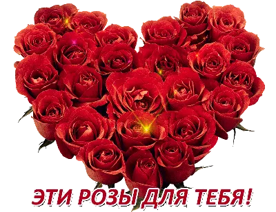 101 красная роза в корзине купить за 21 850 руб. с круглосуточной доставкой  | Мосцветторгком