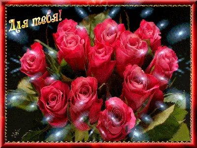 Эти розы для тебя. — конкурс \"Цветы для любимой\" — Фотоконкурс.ру