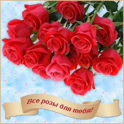 Просто выдумщица | ТЕБЕ! ЭТИ РОЗЫ ДЛЯ ТЕБЯ!🌹🌹🌹 | Дзен