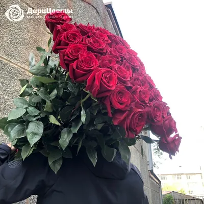Открытка розы эти розы для тебя розы для тебя - скачать бесплатно от Fonwall