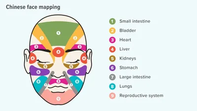 Parts Of The Face Full Vocabulary