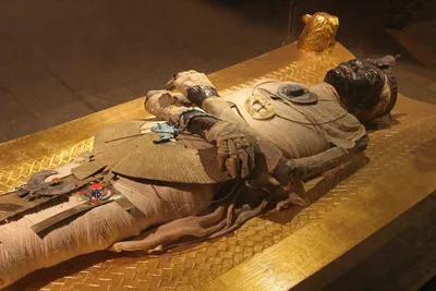 Археологи нашли статую могущественного фараона Древнего Египта - РИА  Новости, 25.03.2023