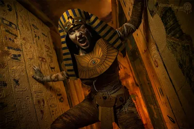 статуя египетского фараона, картина фараона фон картинки и Фото для  бесплатной загрузки