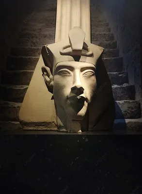 Фараонов век: как нашли и открыли саркофаг Тутанхамона в Египте – Москва  24, 16.02.2023