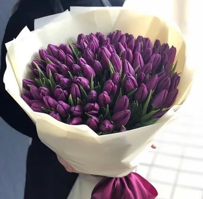 Пионовидные фиолетовые тюльпаны