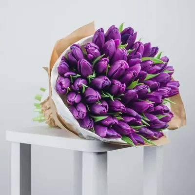 21 фиолетовый тюльпан – купить в Находке по цене 3100 руб в цветочной  компании Цветкофф