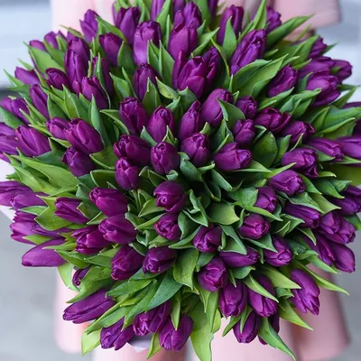 Фиолетовые тюльпаны в дизайнерской упаковке