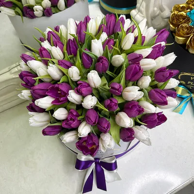 15 фиолетовых тюльпана- купить в СПб с доставкой в интернет магазине  \"Цветочкин\"