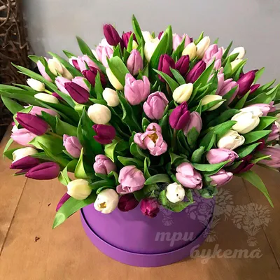 Букет фиолетовых тюльпанов | доставка по Москве и области
