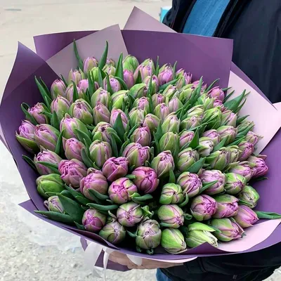 Фиолетовые и желтые тюльпаны 51 шт. купить с доставкой в Москве. Цена от  8415 ₽
