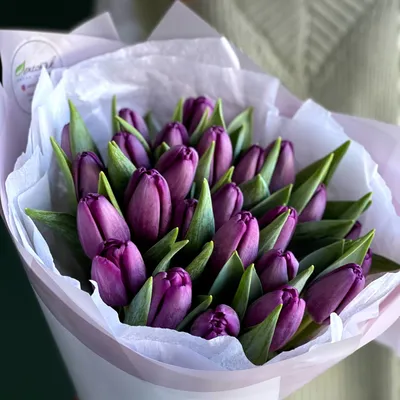 Купить Лавандовые тюльпаны «Kate .violet» в Нижнем Новгороде