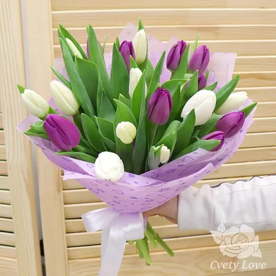 Фиолетовые тюльпаны в ведре для цветков Стоковое Изображение - изображение  насчитывающей серо, пурпурово: 114059873