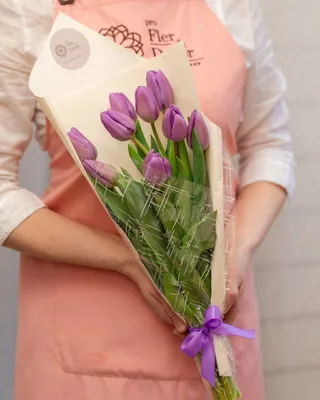 Картинки тюльпан фиолетовая цветок 3456x2300