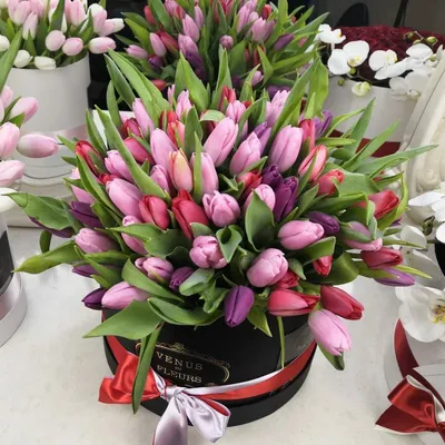 Фиолетовые тюльпаны в коробке (S) до 69 тюльпанов - купить в  интернет-магазине Rosa Grand