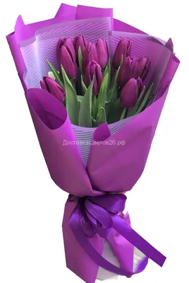 Фиолетовые тюльпаны - купить с доставкой в Омске - LAVANDA