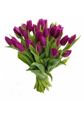 Купить букет из белых и фиолетовых тюльпанов в Хабаровске с доставкой  недорого