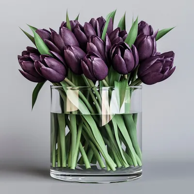 Фиолетовые тюльпаны в букете \"Летнее воспоминание\" купить в Краснодаре с  доставкой