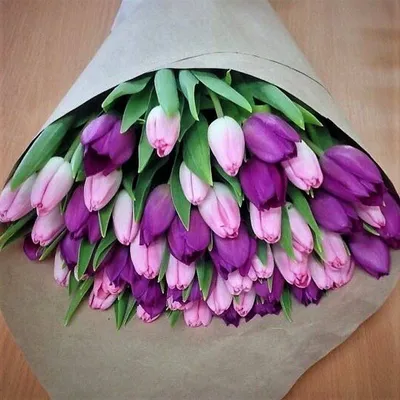Тюльпан темно-фиолетовый | купить недорого тюльпаны в розницу | доставка по  Москве и области