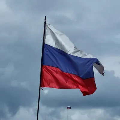 День Государственного флага России в с. Хлебновка | Натальинское  муниципальное образование
