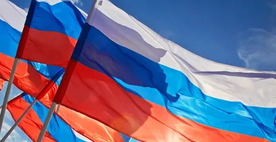 В День флага России в Чистяковской Роще пройдёт молодёжный фестиваль ::  Krd.ru