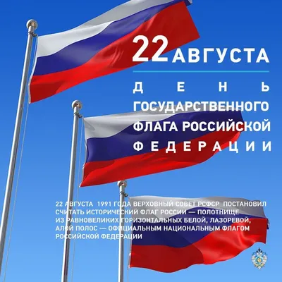 Купить Флаг России 2х3 метра недорого в интернет магазине | Магазин  Символики | magazin-simvoliki.ru
