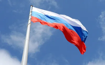 День Российского флага картинка | Флаг, Правильное воспитание, Картинки