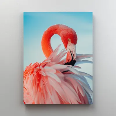 Красивая и милая розовая птица фламинго в воде | Премиум Фото