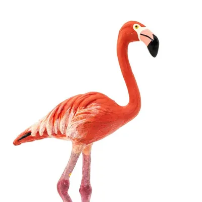 День фламинго. Великолепные фотографии розовых птиц