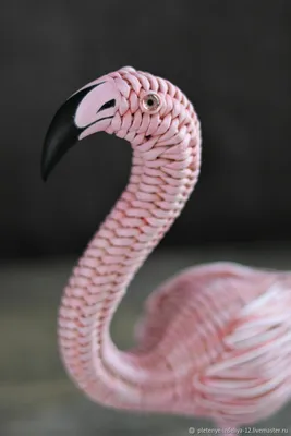 Стая розовых фламинго розовый фламинго красота птицы карибский фламинго  большая птица расслабляется наслаждаясь | Премиум Фото