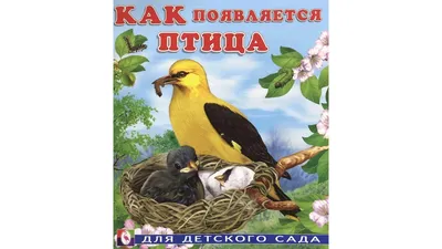 картинки : Позвоночный, клюв, Водяная птица, Больший фламинго, Дикая  природа, воды, Крупным планом, организм, перо, зоопарк, Шея, пейзаж,  растение, банка 4752x3168 - - 1488313 - красивые картинки - PxHere