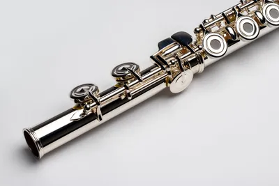 Как выбрать и купить флейту — Трембита
