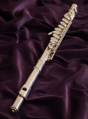 Флейта-пикколо ARMSTRONG 204 купить, цена 1 руб на Флейта-пикколо ARMSTRONG  204 доставка по России