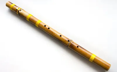 Pearl Flute Quantz PF-F525RE купить с гарантией снижения цены флейта в  интернет магазине Мир Музыки