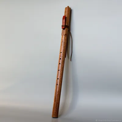 Музыкальный инструмент \"Флейта\" 30х5х18 см МИКС купить в Чите Флейты в  интернет-магазине Чита.дети (2028314)
