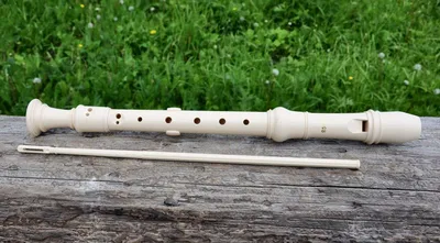 YAMAHA YFL-312 - флейта с 'ми-механикой',без резонаторов,не в линию купить  онлайн по актуальной цене со скидкой и доставкой - invask.ru