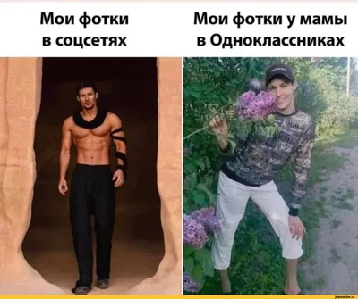 Мои фотки в соцсетях Мои фотки у мамы в Одноклассниках к / Павел Дуров ::  Общественные деятели :: Знаменитости :: смешные картинки (фото приколы) /  смешные картинки и другие приколы: комиксы, гиф