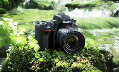 Лучшие фотоаппараты NIKON | myCHAOS.ru