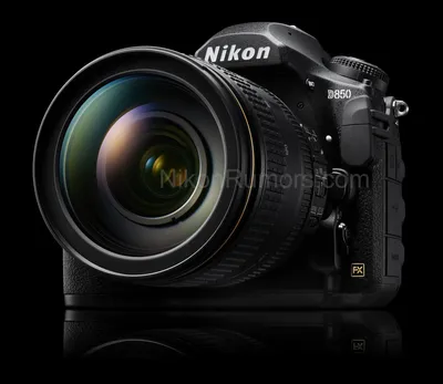 Фотоблог 365: Изображения фотоаппарата Nikon D850