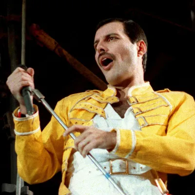 Фредди Меркьюри Обои Fashion Freddy | Freddie mercury, Queen freddie  mercury, Mercury